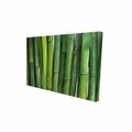 Fondo 12 x 18 in. Green Bamboo-Print on Canvas FO2775357